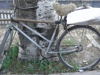 Полиция поймала кабельного вора фото