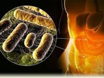 Вспышка сальмонеллеза: врач назвал самый опасный продукт фото