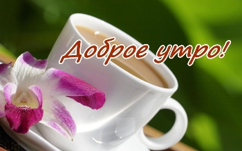 Доброе утро, Мелитополь фото