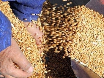 Турция снизила пошлины на агропродукцию Украины фото