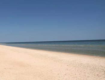 Европейские художники собрали мусор на Азовском побережье  фото