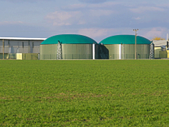 В Украине будут добывать биогаз из отходов сельского хозяйства и сахарного производства фото