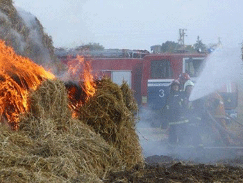 В Акимовском районе полыхала солома фото