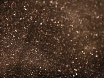 Запорожцы смогут увидеть осенний звездопад фото