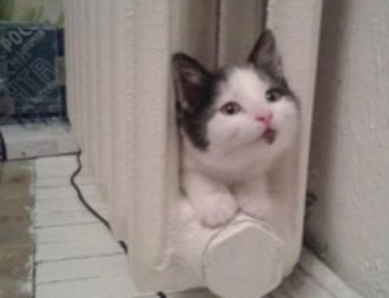 Кабмин снизил цену на газ для отопления и ГВС бюджетных учреждений на 22% фото