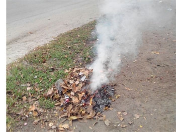 На сотрудников моторного завода составили протокол за сжигание листвы. ФОТО фото