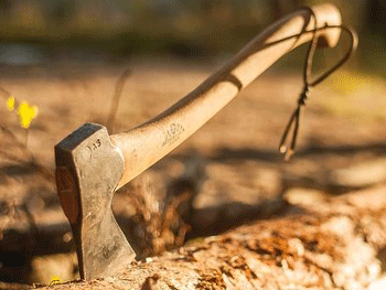 В России мужчина зарубил топором четырех человек из-за проигрыша в карты фото