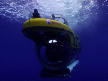 Акулы атаковали съемочную группу BBC. Видео фото