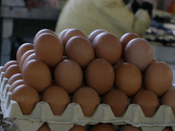 В Украине дорожают яйца: что будет с ценами фото
