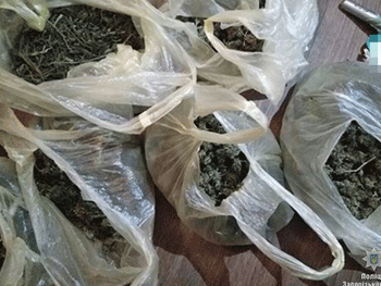 Расследовали кражу - нашли наркотики фото