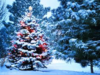 На новогодние праздники метеорологи обещают украинцам не новогоднюю погоду фото