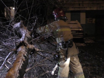 Снегопад на западе Украины: поваленные деревья и опасность лавин фото