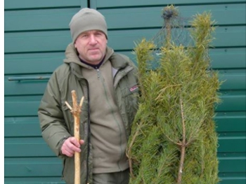 В Межигорье просят привозить ненужные елки для животных фото