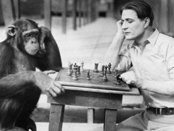 Ученые из США еще 100 лет назад скрестили человека и шимпанзе, но гибрида пришлось усыпить фото