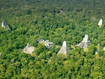 Ученые нашли в джунглях Гватемалы заброшенный мегаполис майя фото