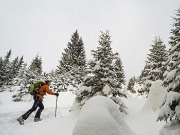 Во Франции трое лыжников погибли при сходе лавины фото