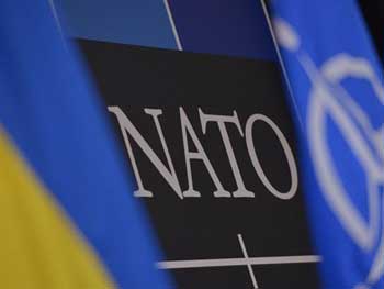Климпуш-Циндадзе: Украина в этом году должна подать заявку в НАТО фото