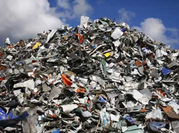 Мелитопольцы жалуются на горы мусора и бродячих собак фото