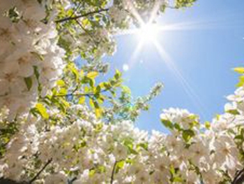 Прогноз погоды для Мелитополя фото