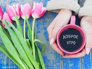 Доброе утро, Мелитополь фото