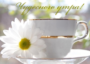 Доброе утро, Мелитополь фото