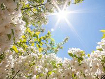 Прогноз погоды для Мелитополя фото