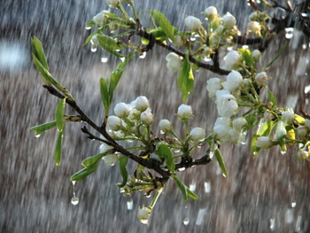 Прогноз погоды для Мелитополя фото