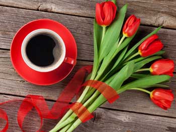 Доброе утро, Мелитополь фото