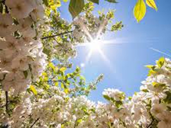 На Украину надвигается адская жара: опубликован прогноз фото