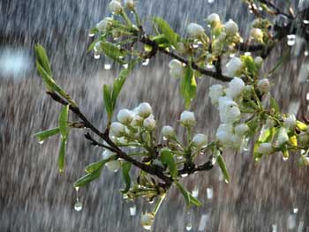 Прогноз погоды для Мелитополя фото