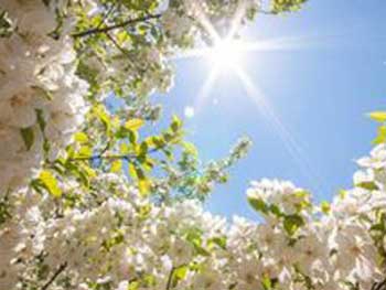 Прогноз погоды для Мелитополя фото