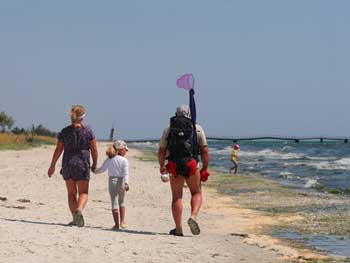 Лето с дождями и ранняя осень: прогноз погоды до сентября фото