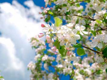 Прогноз погоды для Мелитополя фото