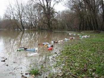 В Венгрии Greenpeace требует наказать Украину за загрязнение рек фото