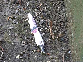 Угрожала отрезать голову ребенку: в Сумах произошел дикий инцидент с женщиной фото