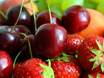 Мелитопольская черешня построит центр по переработке фруктов и ягод фото