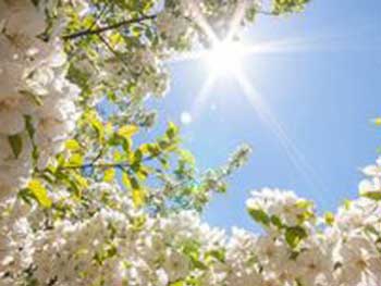 Прогноз погоды для Мелитополя фото