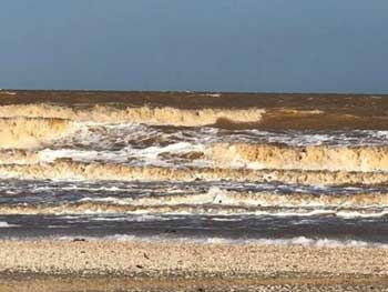 Как сильный шторм повлиял на качество воды в Азовском море? фото