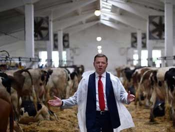 Стадо из коров: Ляшко показал своих избирателей  фото