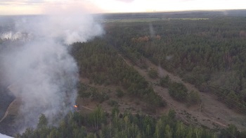 Пожар в зоне Чернобыля: есть отдельные очаги горения  фото
