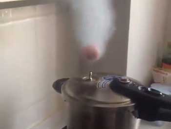 «Магический» способ варки яиц произвел фурор в сети фото