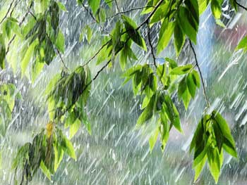 Над Украиной пронесется буря: синоптик назвал даты фото