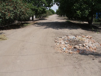 Дорогу на Юровке обещают засыпать асфальтной вырубкой фото