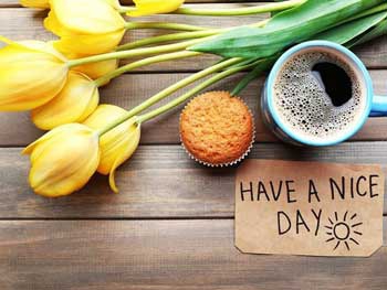 Доброе утро, Мелитополь фото