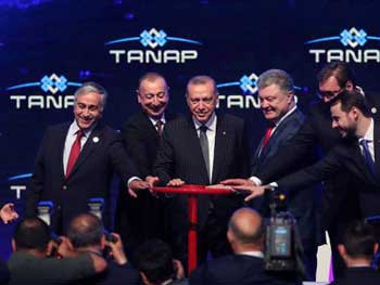 Порошенко принял участие в запуске газопровода в обход России фото