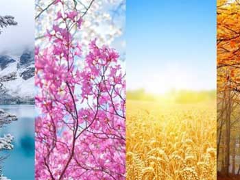 Прогноз погоды для Мелитополя фото