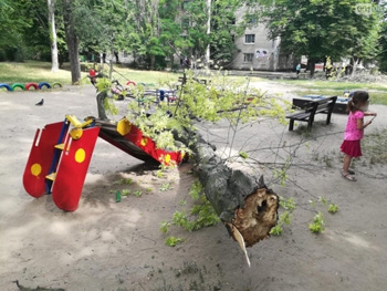 В Запорожье огромное дерево рухнуло на детскую площадку  фото