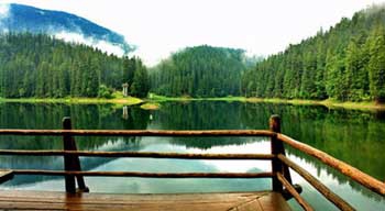 Украинские курорты популярны не только среди украинцев фото