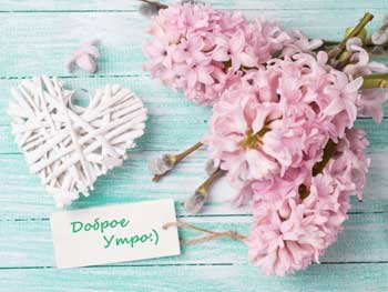 Доброе утро, Мелитополь фото