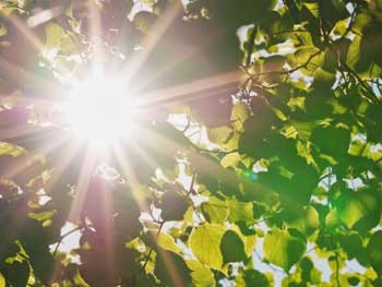 Прогноз погоды для Мелитополя фото